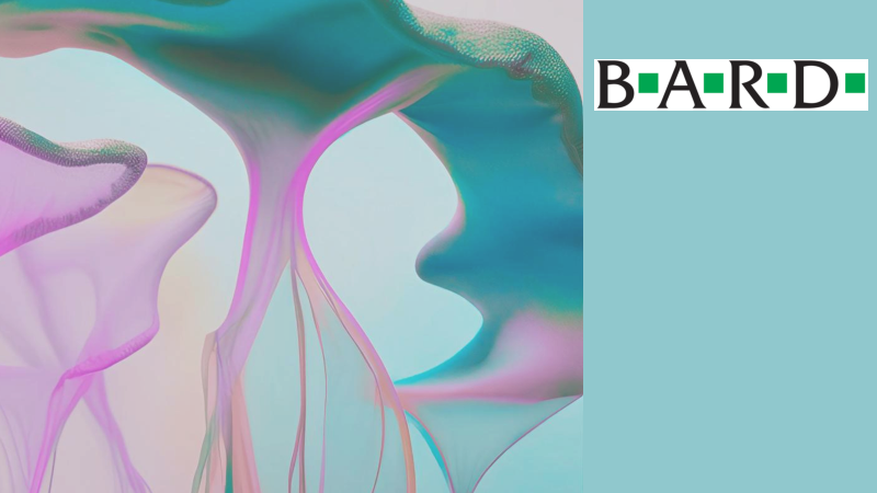 BARD_company presentation